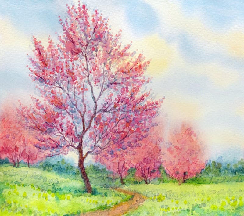 Watercolor spring landscape. Flowering tree in a field vector illustration Watercolor spring landscape. Flowering tree in a field vector illustration