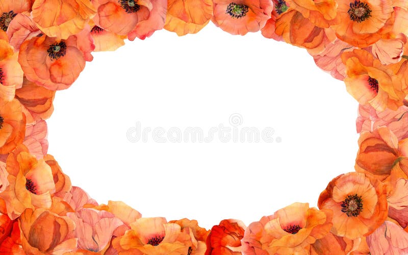 Watercolor square oval frame composition with hand drawn summer bright red poppy flowers. Isolated on white background stock photos