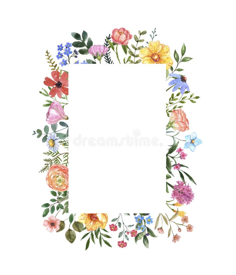 Watercolor summer meadow wildflower border. Botanical frame with colorful flowers