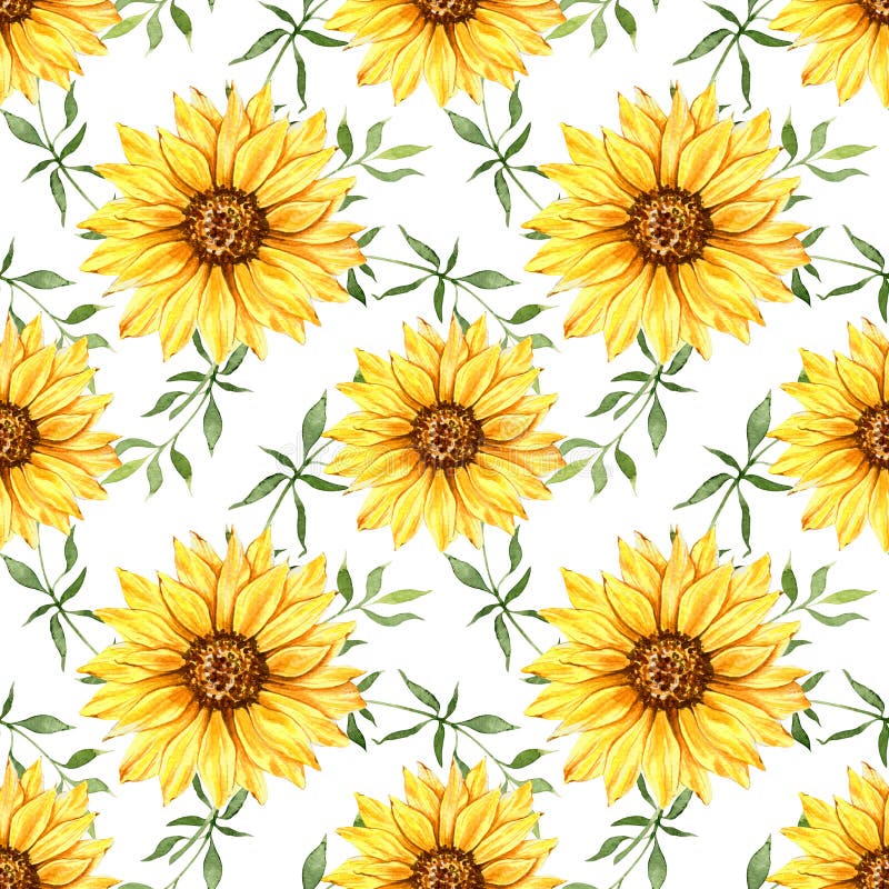 Black White Sunflower Bouquet Clipart Stock Illustrations 41 Black