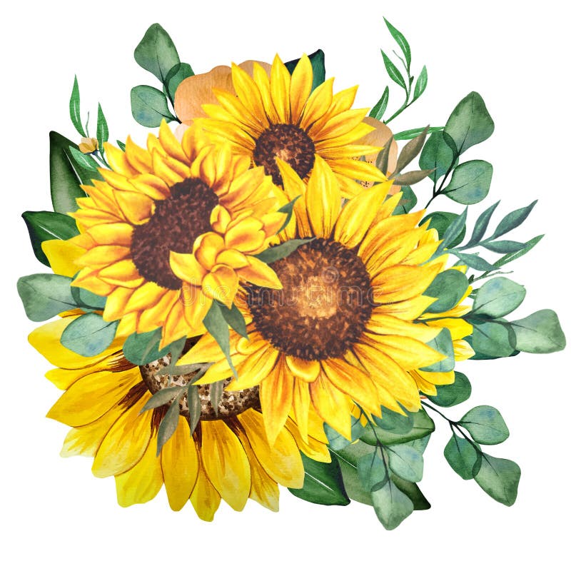 486 Sunflower Clipart Stock Photos - Free & Royalty-Free Stock Photos ...