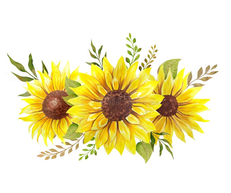 Large Sunflower Clipart Pictures