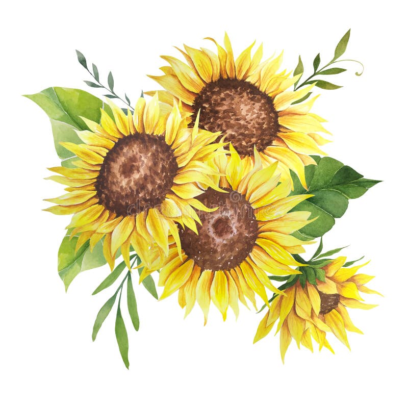 Watercolor Sunflowers Bouquet, Hand Painted Sunflower Bouquets ...