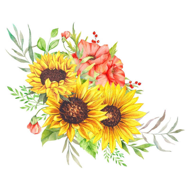 125 Watercolor Sunflower Clip Stock Photos - Free & Royalty-Free Stock ...