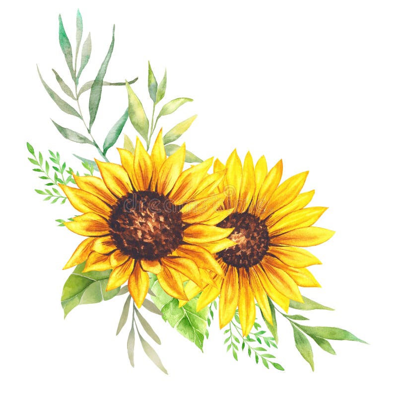 420 Sunflower Clipart Stock Photos - Free & Royalty-Free Stock Photos ...