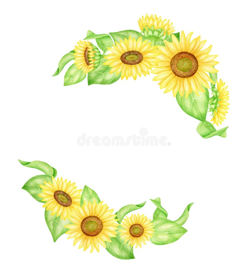 Daisy Wreaths Clip Art PNG Hand painted Watercolour Clipart Floral Wreath Clipart Watercolor Frame Set Spring Flowers Floral Frame