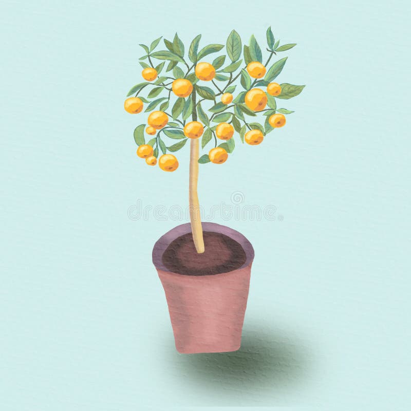 Citrus Tree Growth Stock Illustrations – 1,072 Citrus Tree Growth Stock ...