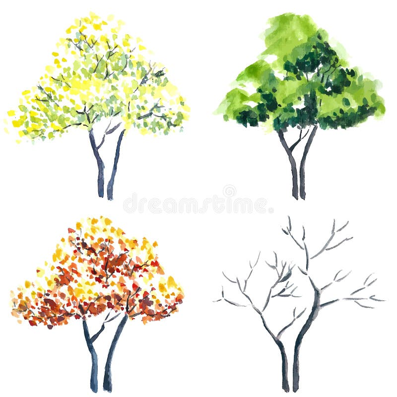 Watercolor trees. stock vector. Illustration of forest 59823883