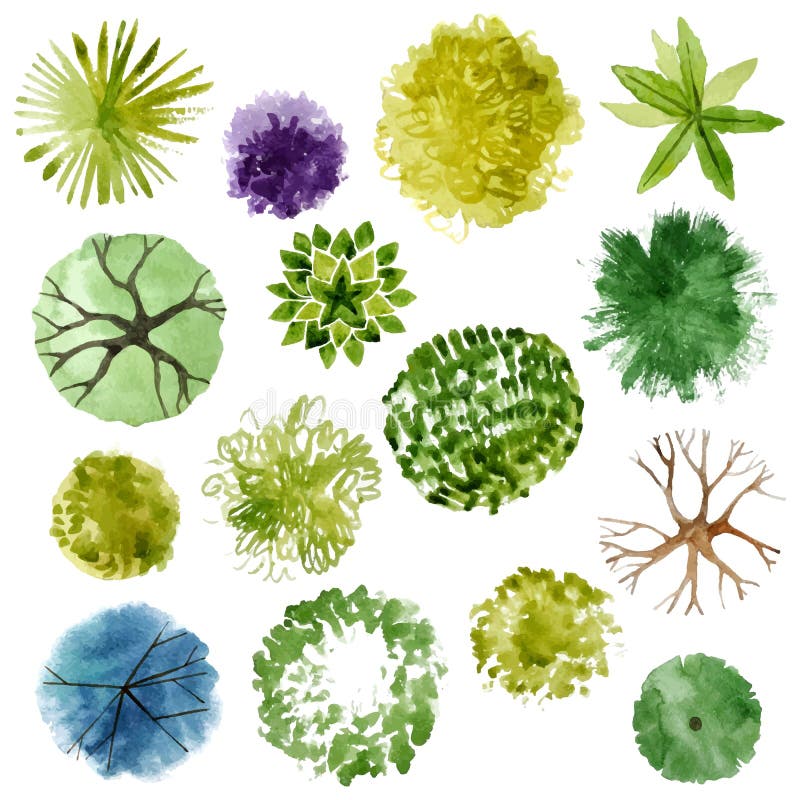 Watercolor trees for your own landscape desgns stock illustration