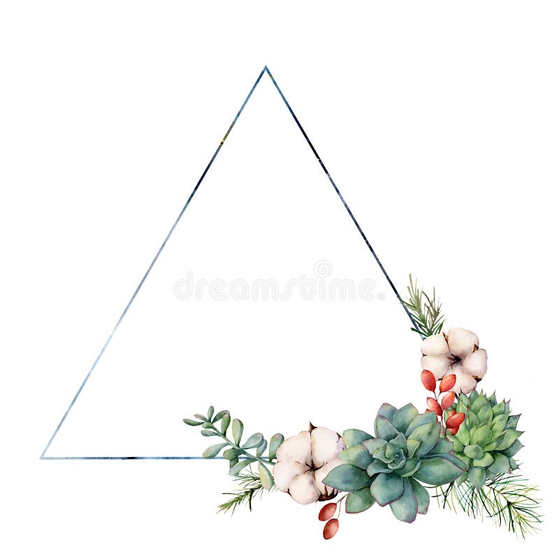 Watercolor triangle frame with succulents. Hand drawn modern floral label with succulents leaves and branches, cotton stock illustration