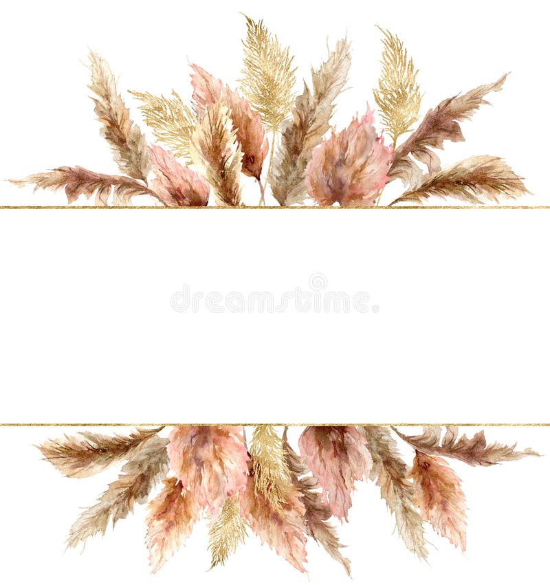 Watercolor gold frame of tropical pampas grass. Hand painted border of  exotic dry plant isolated on white background. Floral illustration for  design, print, fabric or background. Stock Illustration by ©Derbisheva  #474460532