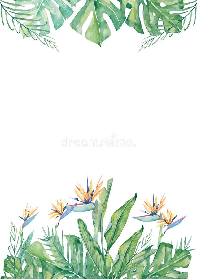 Watercolor tropical flower and leaf arrangement border frame for wedding, anniversary vector illustration Watercolor tropical flower and leaf arrangement border frame for wedding, anniversary vector illustration