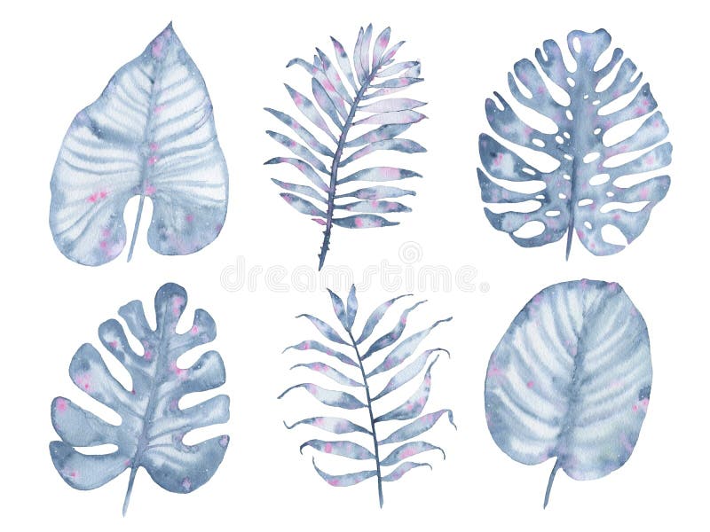 Watercolor tropical hand painted indigo palm tree leaf set isolated on white background vector illustration Watercolor tropical hand painted indigo palm tree leaf set isolated on white background vector illustration