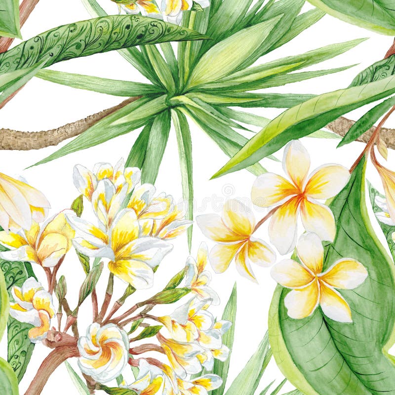 Watercolor Tropical Plants stock illustration Watercolor Tropical Plants stock illustration