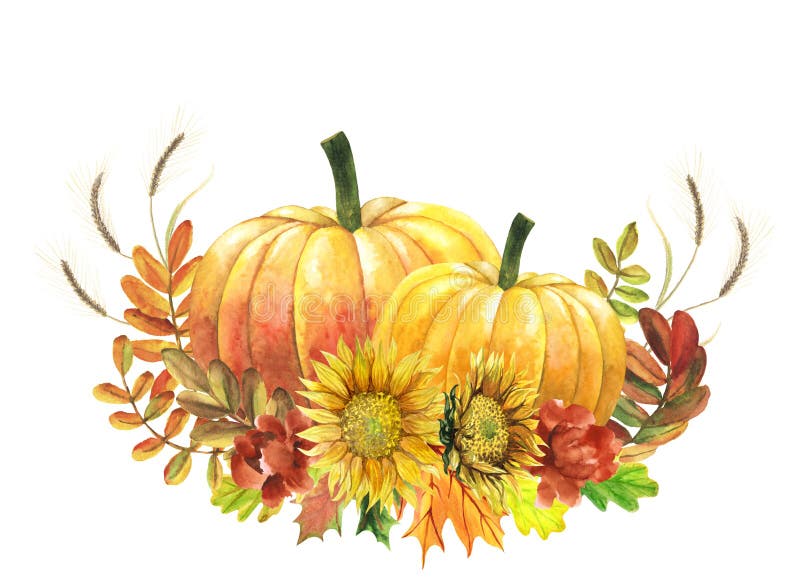 photographer image clipart pumpkin