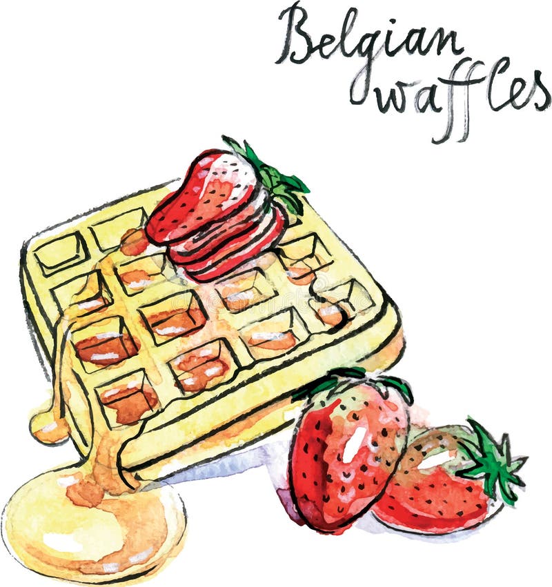 Watercolor hand drawn Belgian waffles - vector Illustration. Watercolor hand drawn Belgian waffles - vector Illustration