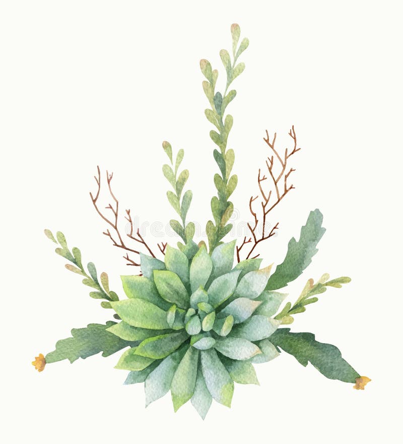 Watercolor Vector Bouquet Of Cacti And Succulent Plants ...