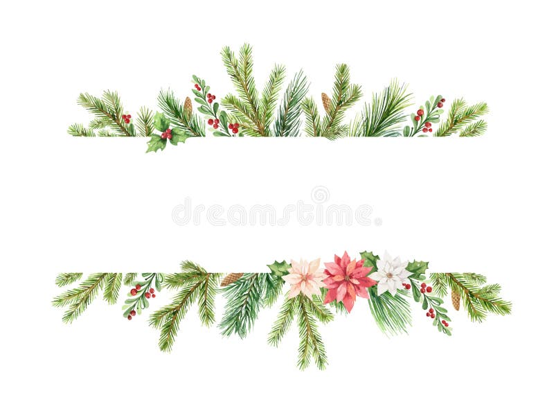 Watercolor Vector Christmas Banner with Fir Branches, Flowers of ...