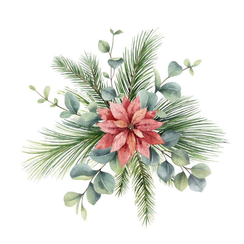 Watercolor Winter Christmas Bouquet Stock Illustration - Download Image Now  - Christmas, Lush Foliage, Poinsettia - iStock