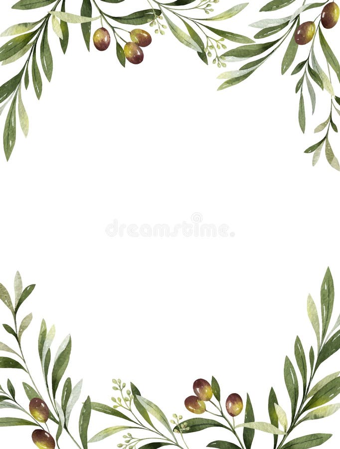 Watercolor vector frame of olive branches and leaves.