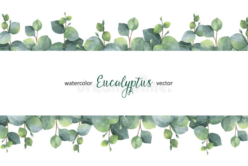 Watercolor Vector Green Floral Banner With Silver Dollar ...