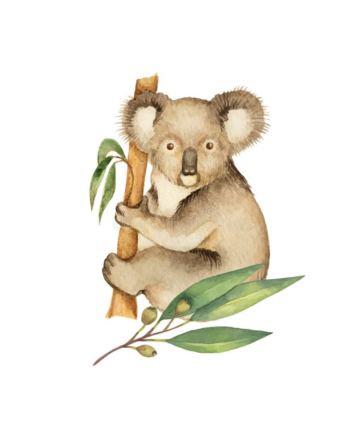 Watercolor vector green floral card with eucalyptus leaves and Koala isolated on white background.