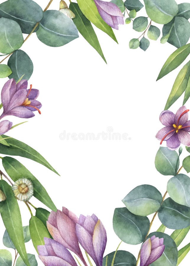 Watercolor vector green floral card with eucalyptus leaves, purple flowers and branches isolated on white background. royalty free illustration Watercolor vector green floral card with eucalyptus leaves, purple flowers and branches isolated on white background. royalty free illustration