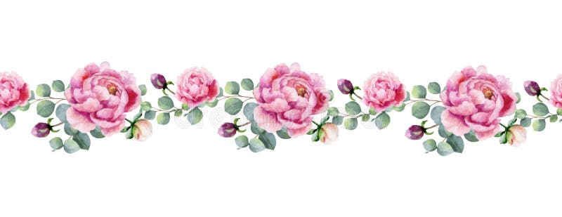 Watercolor Vector Hand Painting Horizontal Banner of Peony Flowers and ...