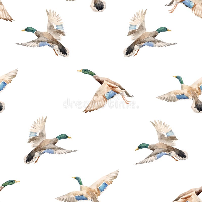 Watercolor vector pattern with ducks royalty free illustration