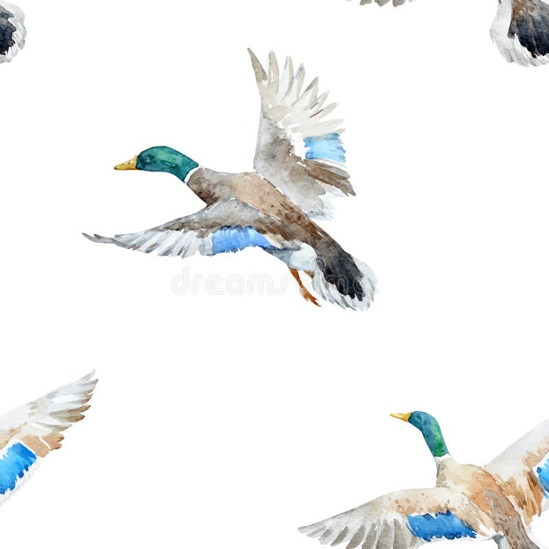 Watercolor vector pattern with ducks royalty free illustration