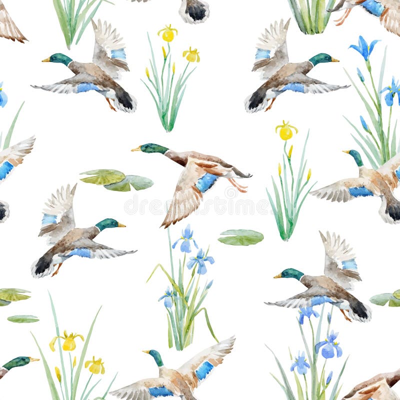 Watercolor vector pattern with ducks royalty free illustration