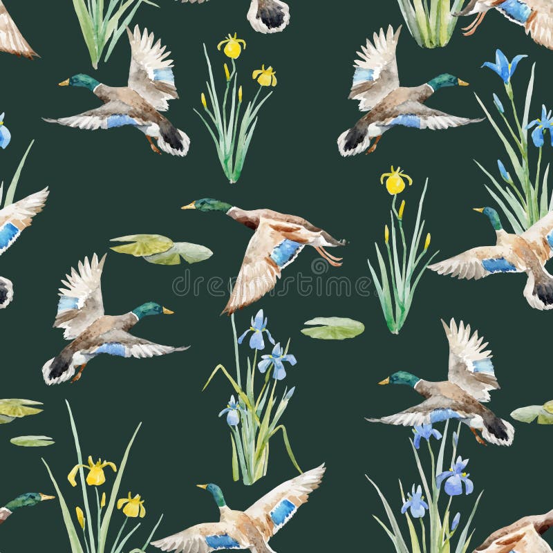 Watercolor vector pattern with ducks vector illustration