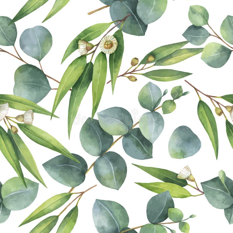 Watercolor vector seamless pattern with eucalyptus leaves and branches.