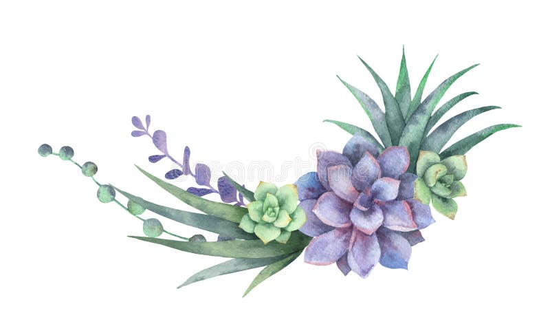 Featured image of post Succulent Illustration Free Download succulent images and photos