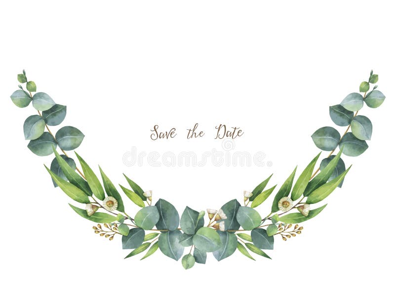 Watercolor vector wreath with green eucalyptus leaves and branches. vector ...