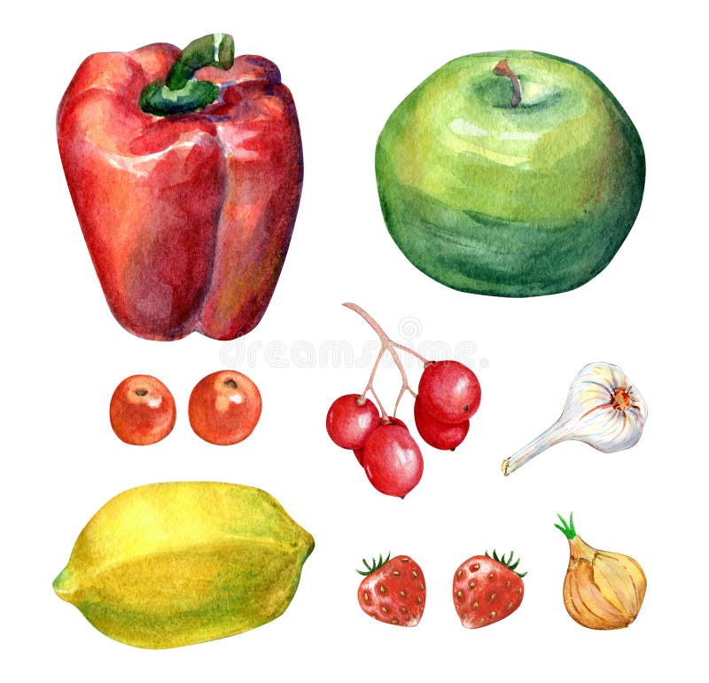 Watercolor Vegetables and Fruits Set stock photos Watercolor Vegetables and Fruits Set stock photos