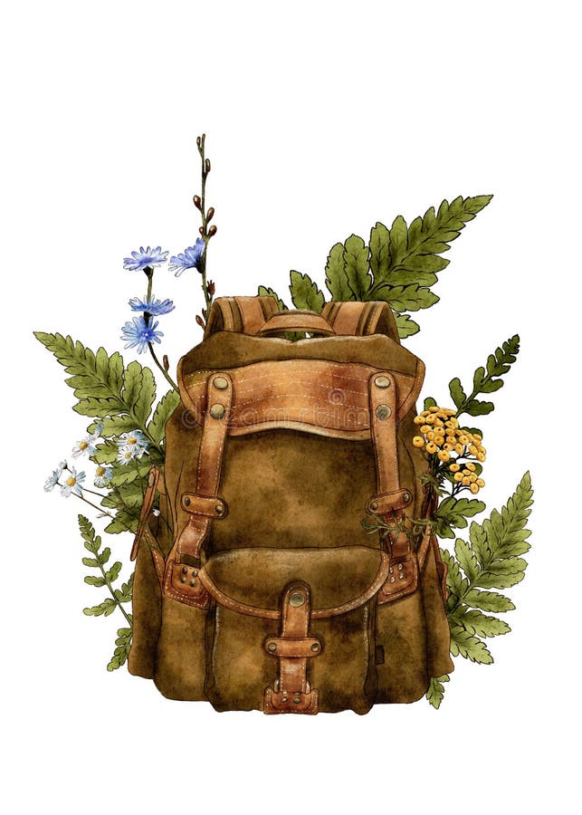 Plain Backpack Stock Illustrations – 245 Plain Backpack Stock  Illustrations, Vectors & Clipart - Dreamstime