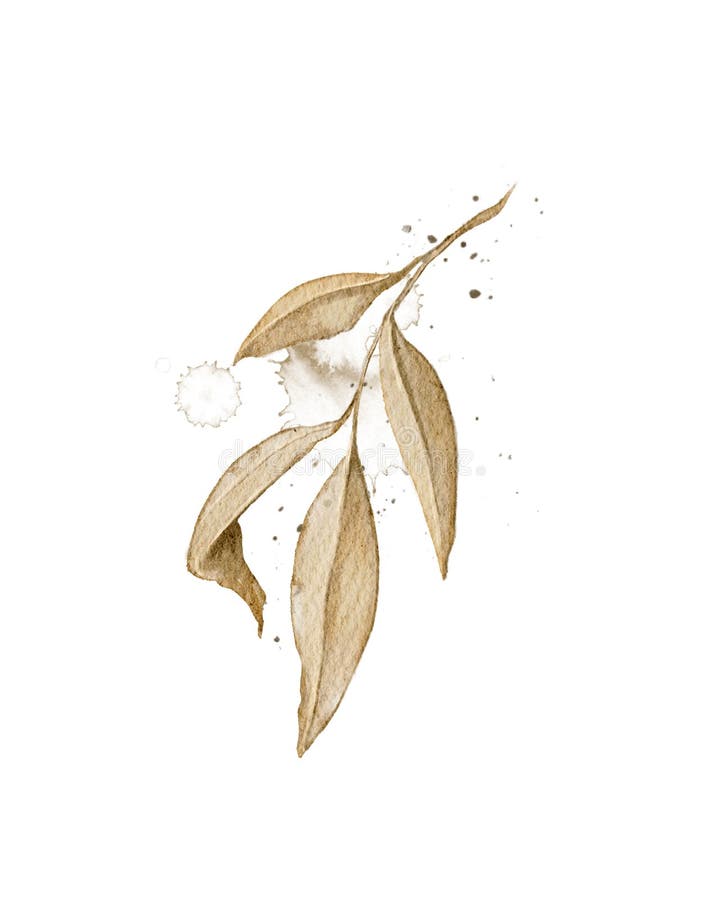 Watercolor Vintage Branch with Beige Leaves and Splashes Stock ...