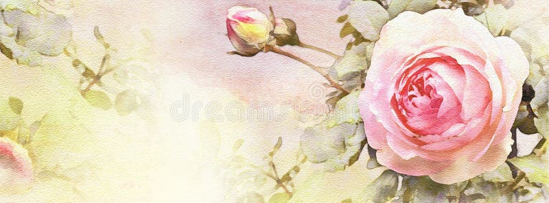 Watercolor Vintage Roses Background on Old Paper - Facebook Cover Stock  Illustration - Illustration of cover, bloom: 180502229