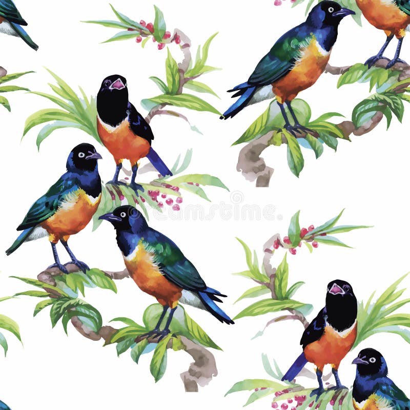 Watercolor Wild exotic birds on flowers seamless pattern on white background vector illustration Watercolor Wild exotic birds on flowers seamless pattern on white background vector illustration