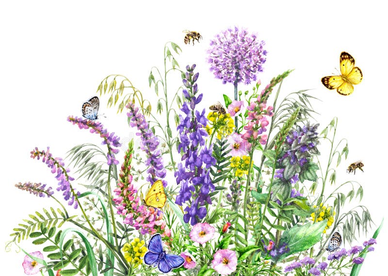 Watercolor wild flowers and insects stock illustration Watercolor wild flowers and insects stock illustration