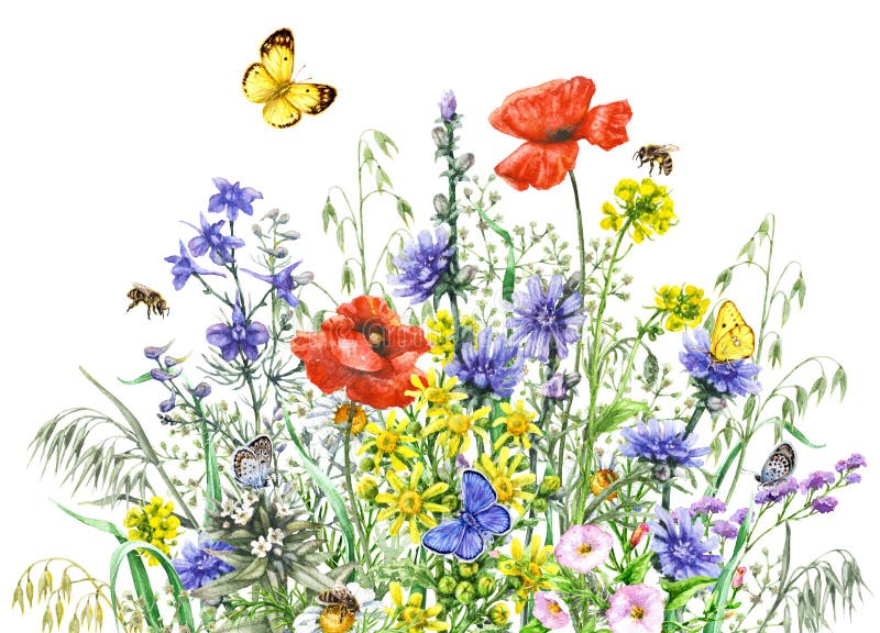 Watercolor wild flowers and insects stock illustration Watercolor wild flowers and insects stock illustration