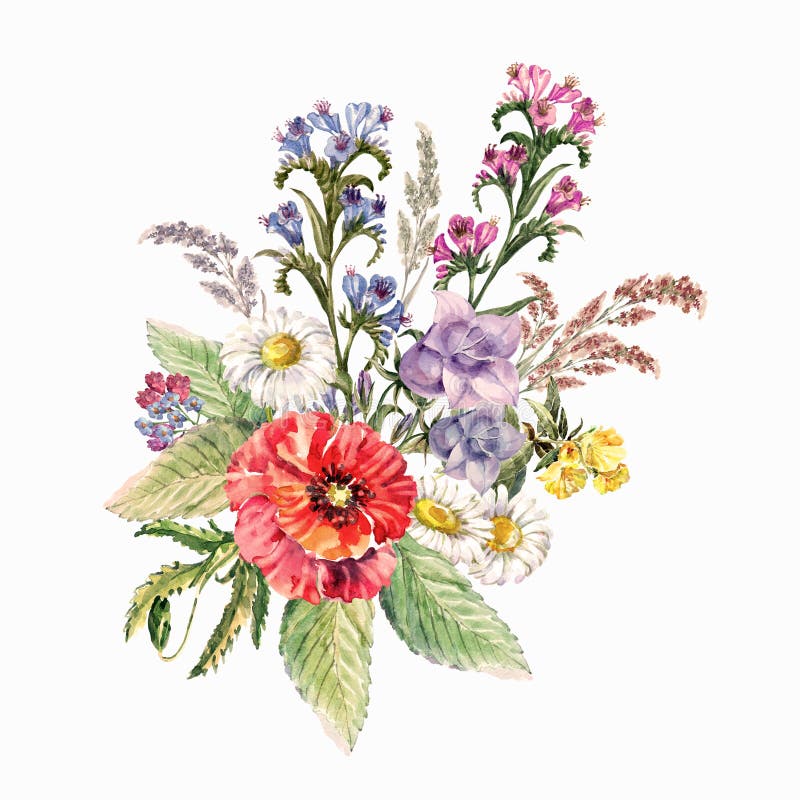 Watercolor Wild Flowers on White Background. Bouquet Illustration ...
