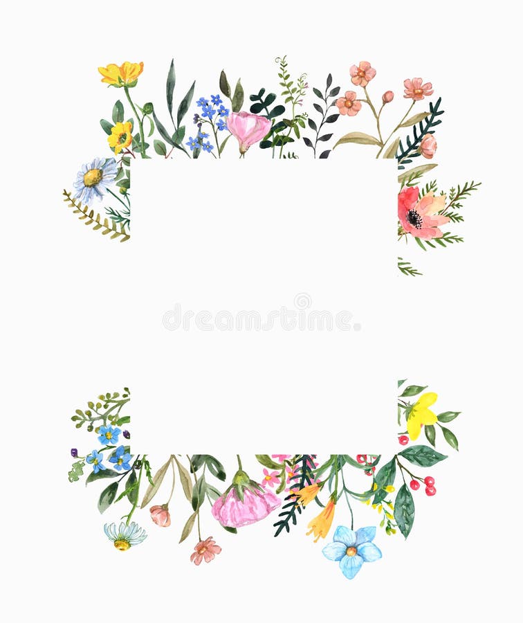Beautiful wildflower square border with hand painted summer meadow flowers, herbs, grass, leaves, isolated on white background.