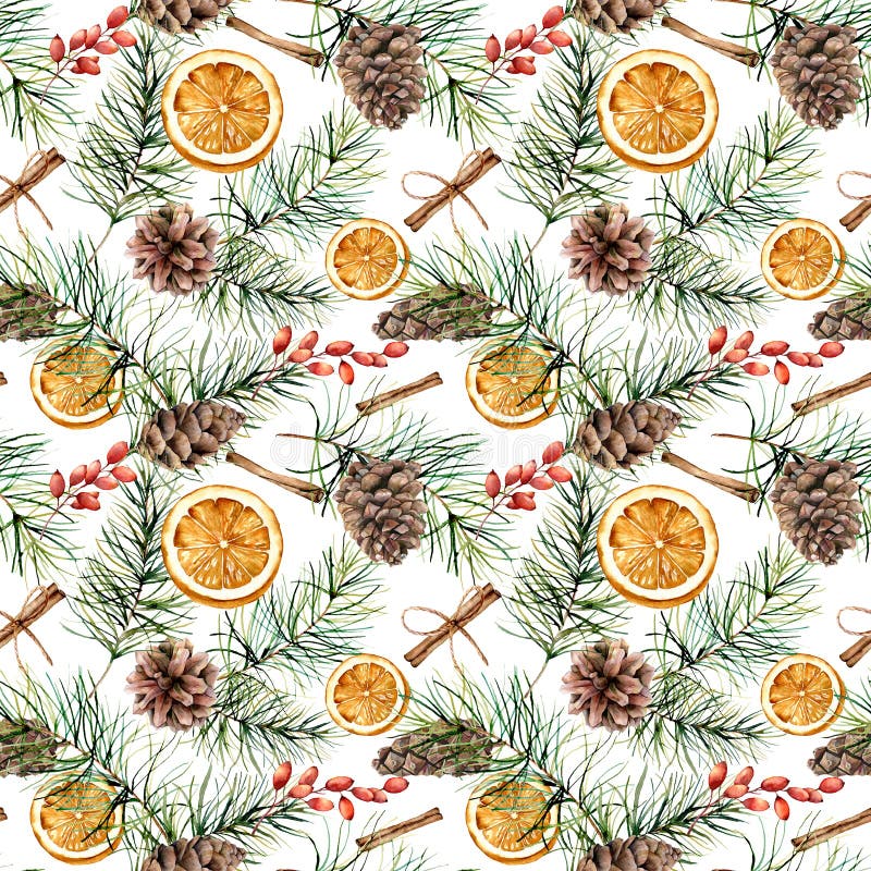 Watercolor winter pattern with pine branch, cones. Hand painted fir branch, orange slice, barberry, cinnamon isolated on