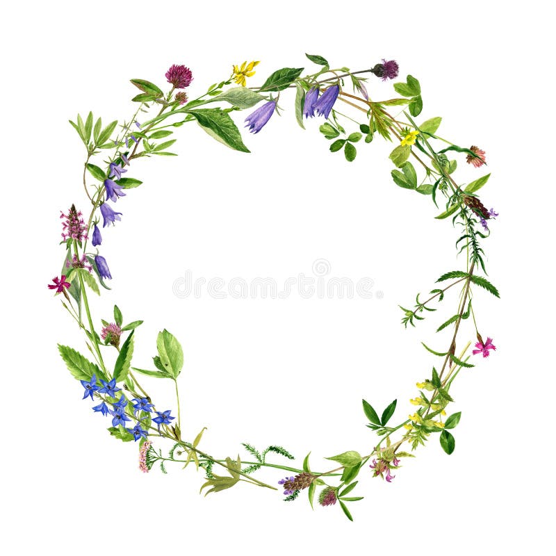 Watercolor wreath flowers and plants