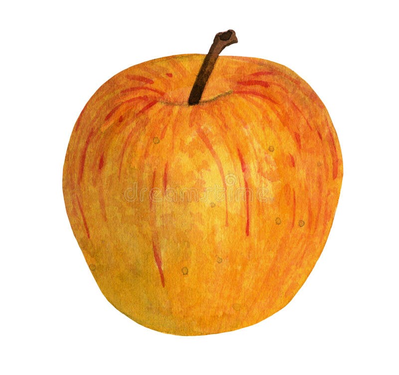 Watercolor Yellow Apple on White Background