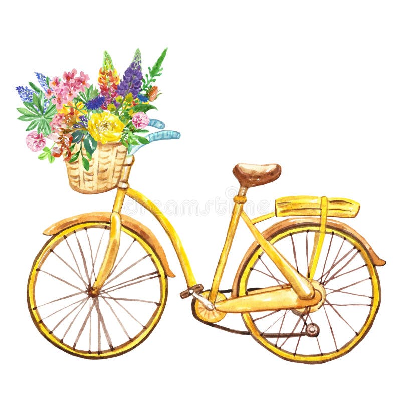 Watercolor yellow bicycle, isolated on white background. Hand painted bike with basket and wild flowers. Summer illustration