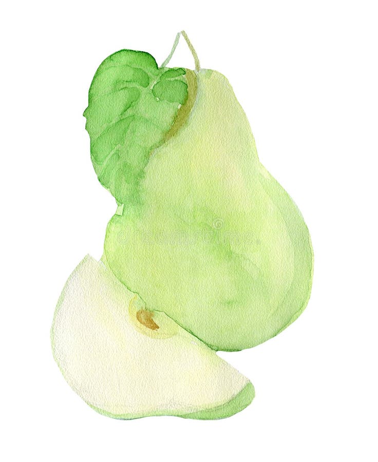 Hand painted watercolor pear with green leaf, a segment, a seed isolated on the white background. Hand painted watercolor pear with green leaf, a segment, a seed isolated on the white background