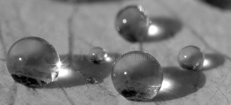 Waterdrops